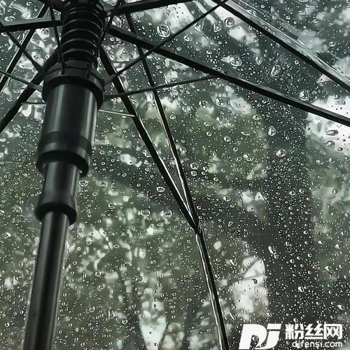 再见胖猫的专辑