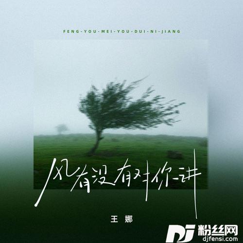 风有没有对你讲