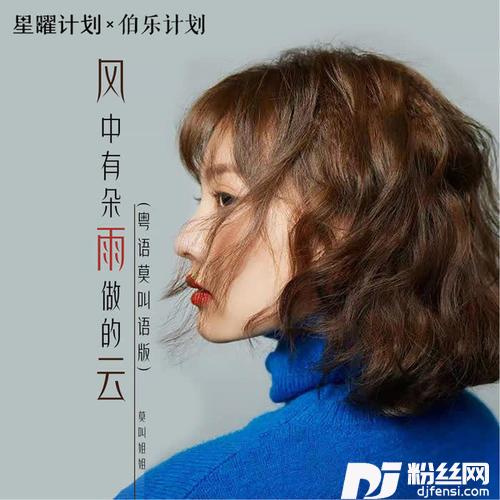 风中有朵雨做的云DJheap九天版的专辑