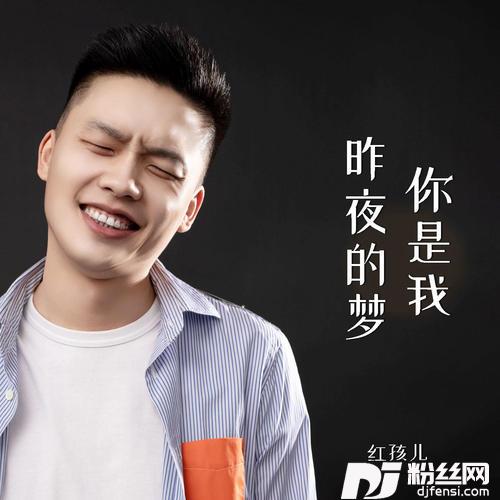 你是我昨夜的梦