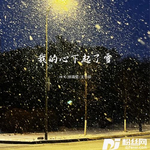 我的心下起了雪的专辑
