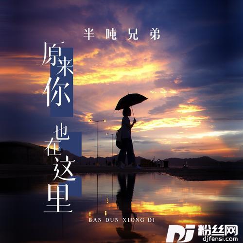 原来你也在这里DJ九零版的专辑