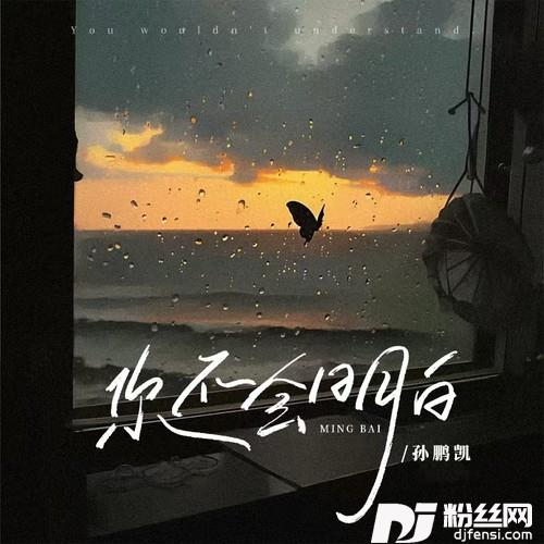你不会明白