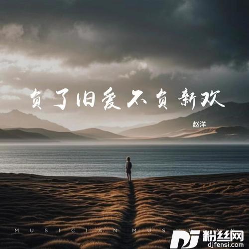 负了旧爱不负新欢的专辑