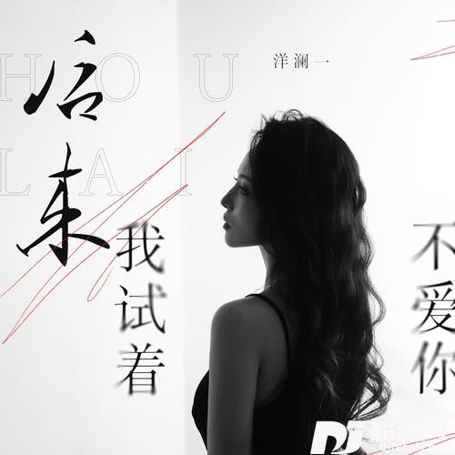 后来我试着不爱你