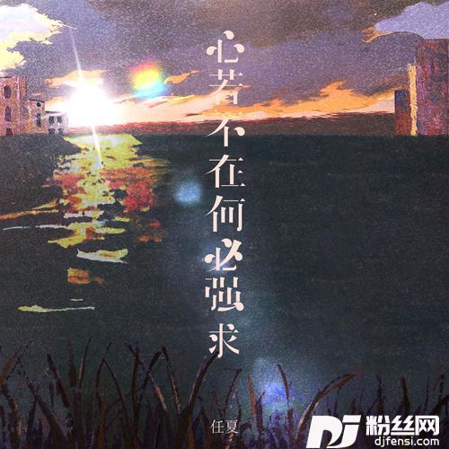 心若不在何必强求