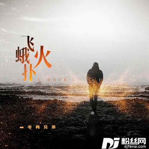 飞蛾扑火正式版的专辑