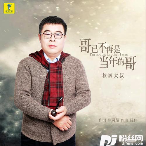 哥已不再是当年的哥（DJ何鹏版）