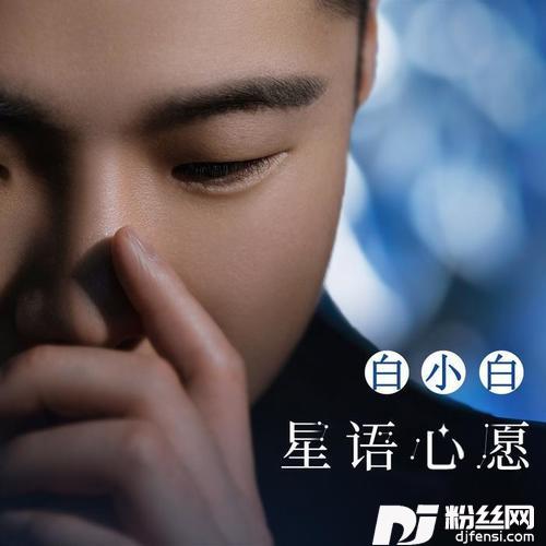 星语心愿的专辑