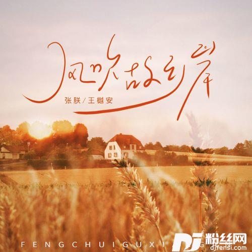 风吹故乡岸