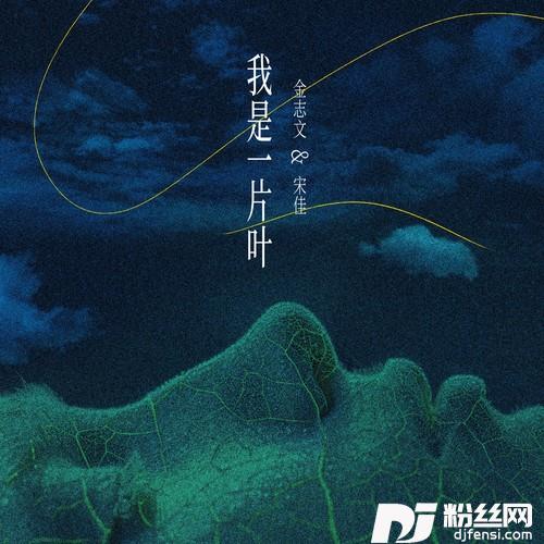 我是一片叶