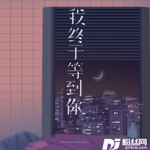 我终于等到你的专辑