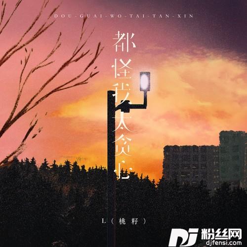 都怪我太贪心