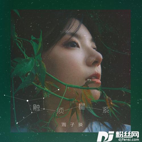 触须星系