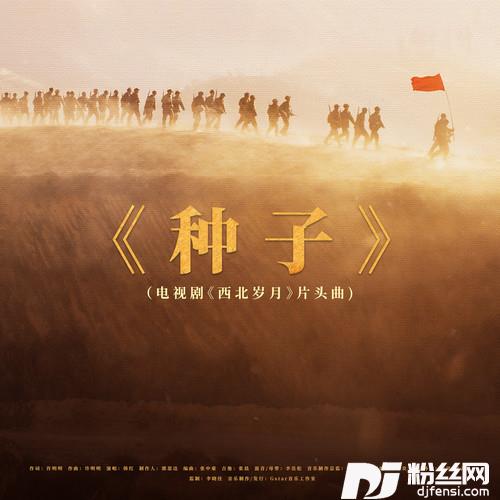 种子的专辑