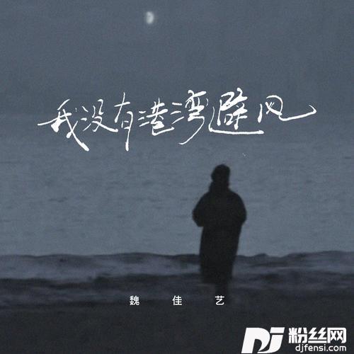 我没有港湾避风的专辑