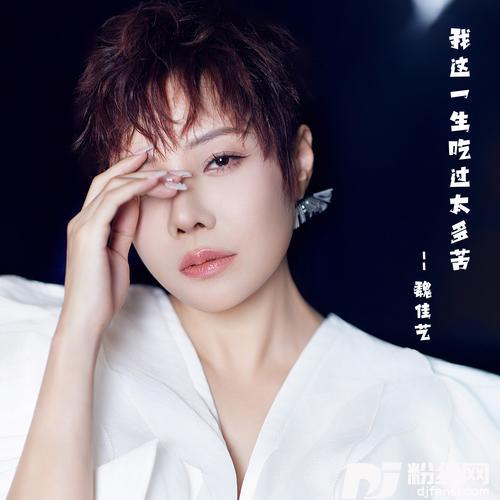 我这一生吃过太多苦DJ何友版的专辑