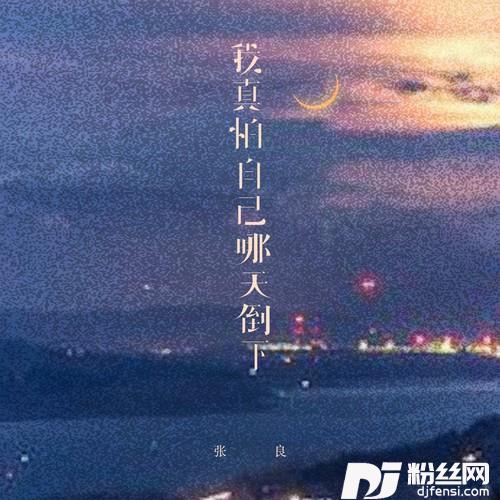 我真怕自己哪天倒下烟嗓男版