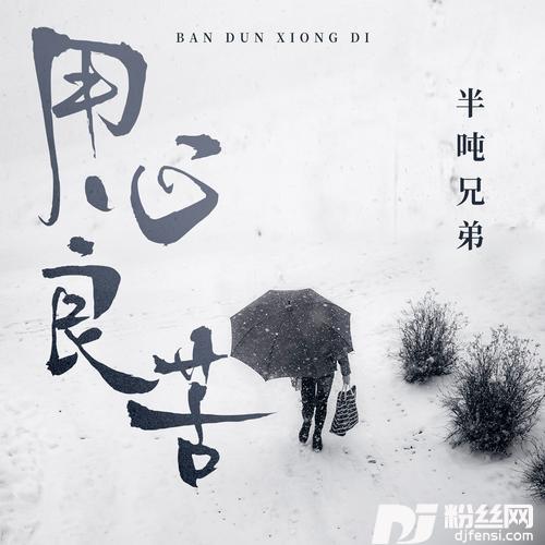 用心良苦DJ九零版的专辑