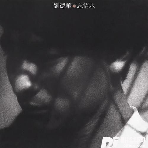 忘情水