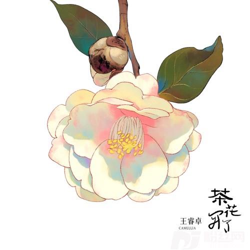 茶花开了的专辑