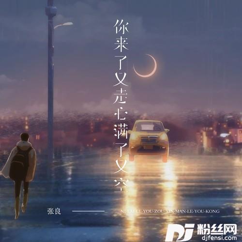 你来了又走心满了又空烟嗓男版