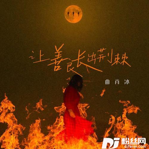 让善良长出荆棘的专辑
