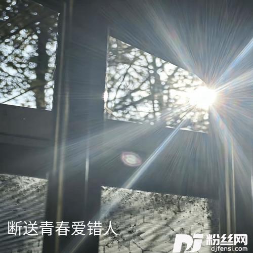2024年的第一首歌刀郎版