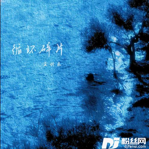 循环碎片