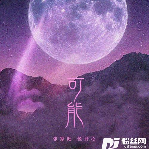 一百万个可能对唱版的专辑