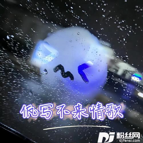 佤写不来情歌的专辑