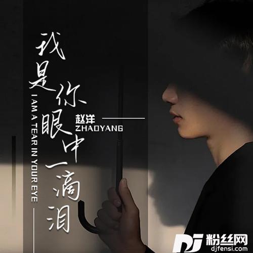 我是你眼中一滴泪