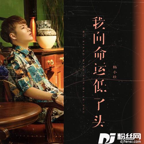 我向命运低了头