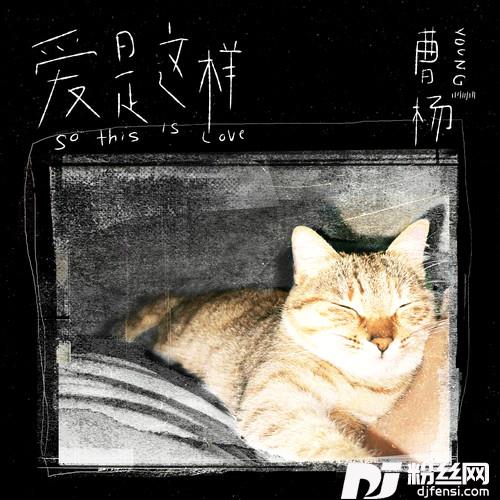 爱是这样