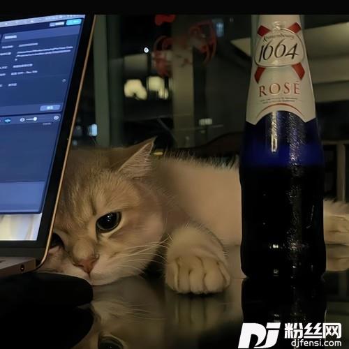 不说cover:周公的专辑