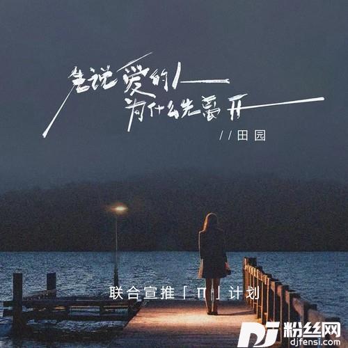 先说爱的人为什么先离开DJR7版的专辑