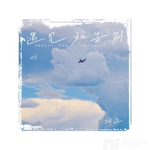 发光的海