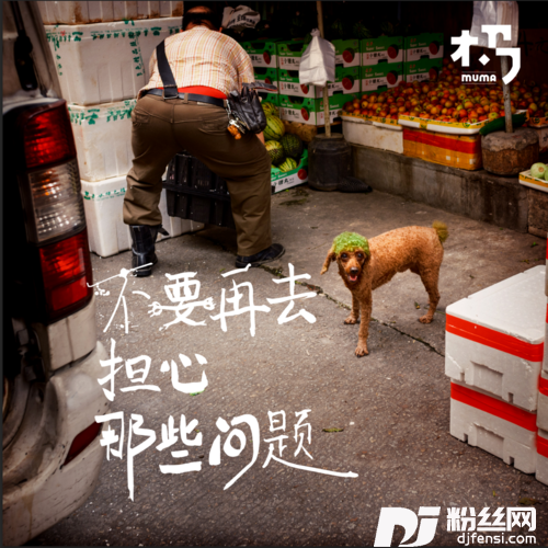 不要再去担心那些问题