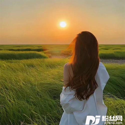 MoonlitDream1.05X的专辑