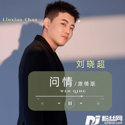 问情激情版的专辑