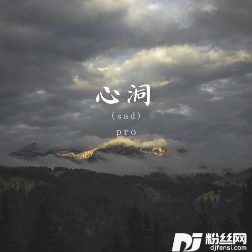 心洞sad