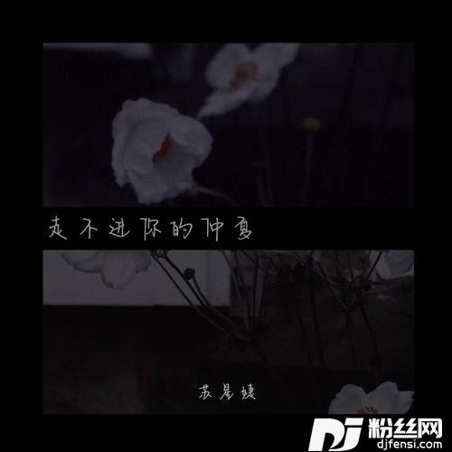 走不进你的仲夏的专辑