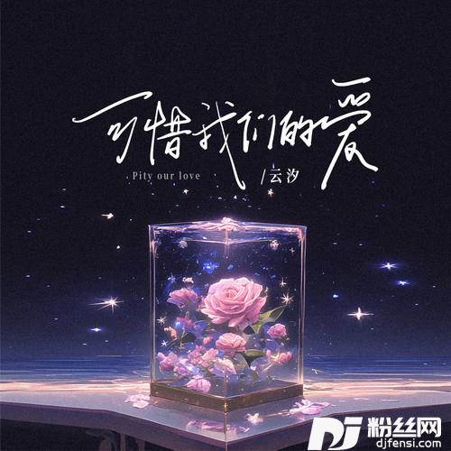 可惜我们的爱
