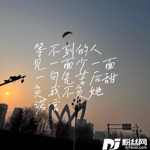 等不到的人+见一面少一面+一句先苦后甜+负我不负她+诺言DJ串烧版