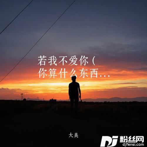 若我不爱你你算什么东西的专辑