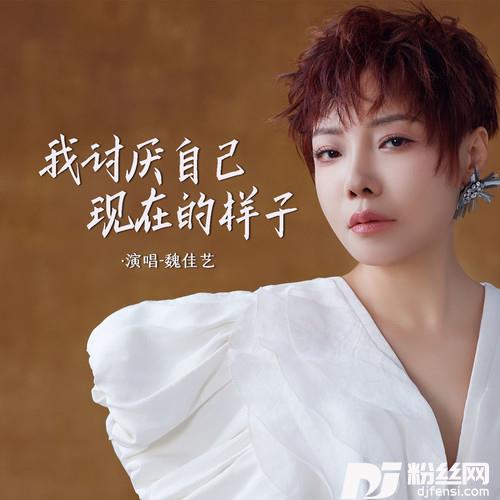 我讨厌自己现在的样子的专辑