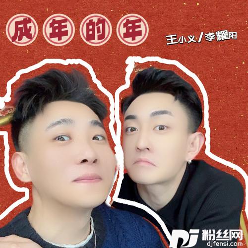 成年的年的专辑
