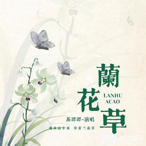 兰花草