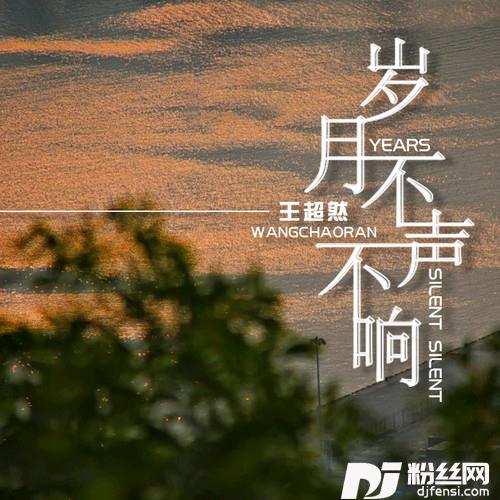 岁月不声不响