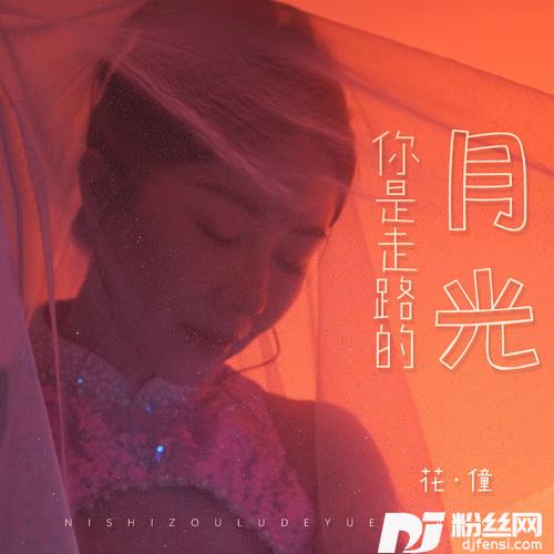 你是走路的月光
